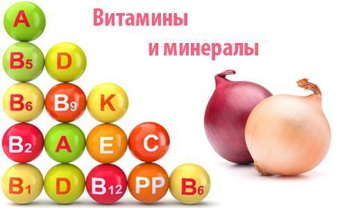 quelles vitamines contiennent les oignons