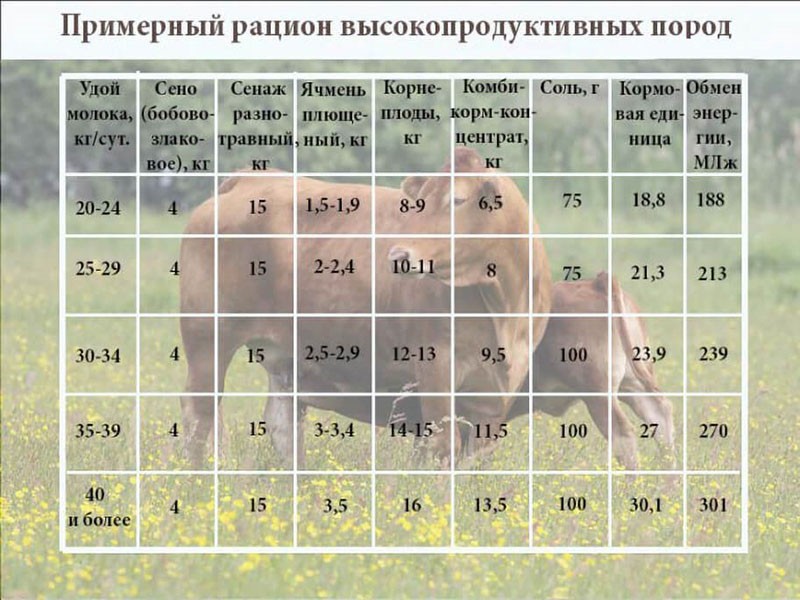 ración diaria de alimentos con una producción de leche de 20 a 40 litros de leche