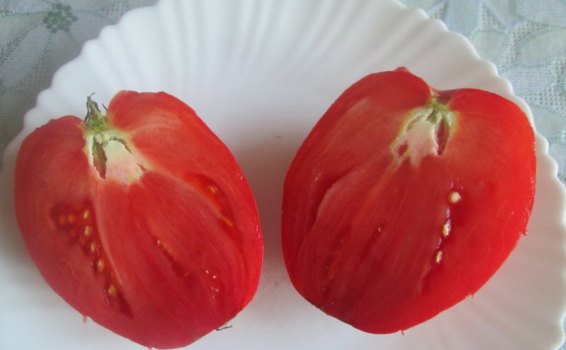 tomate fruta rey de londres