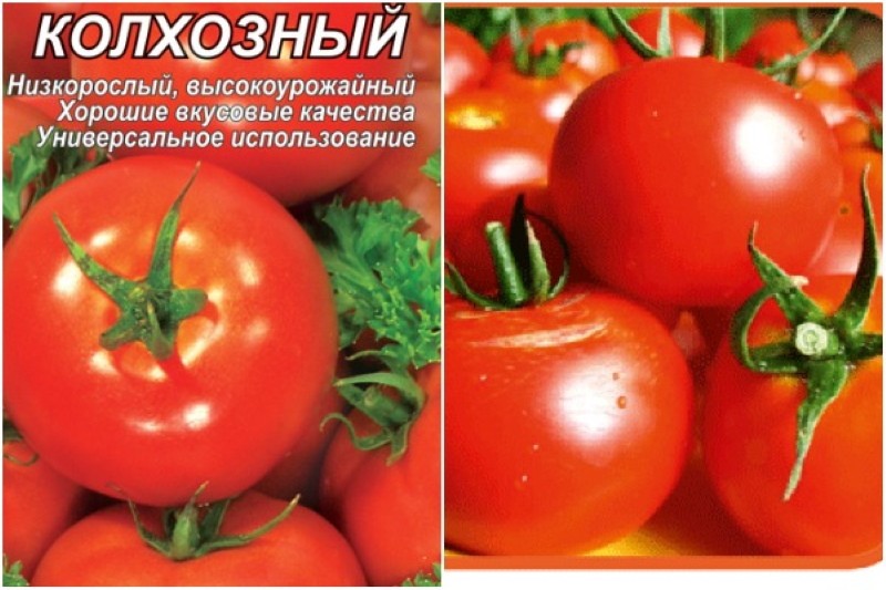 avantages et inconvénients de la tomate kolkhozienne