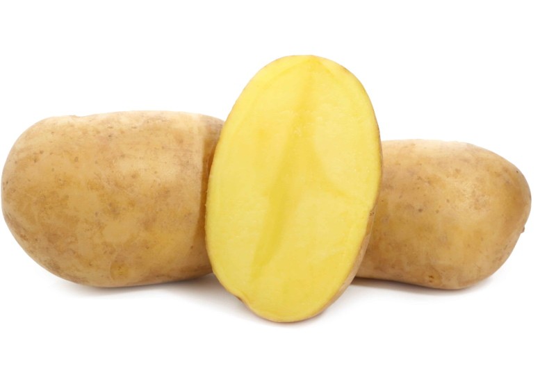 lirio de papa vegetal de raíz