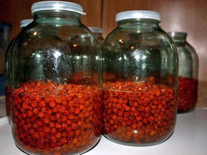 viburnum propriétés utiles de la teinture d'alcool