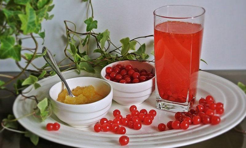 bebida de frutas refrescante