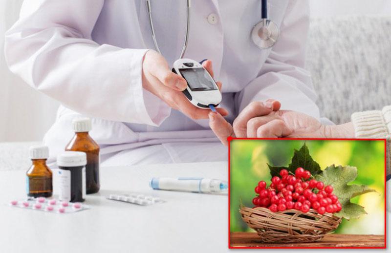 Viburnum propiedades beneficiosas para la diabetes.