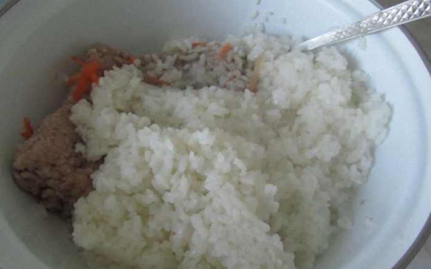 arroz para repollo relleno