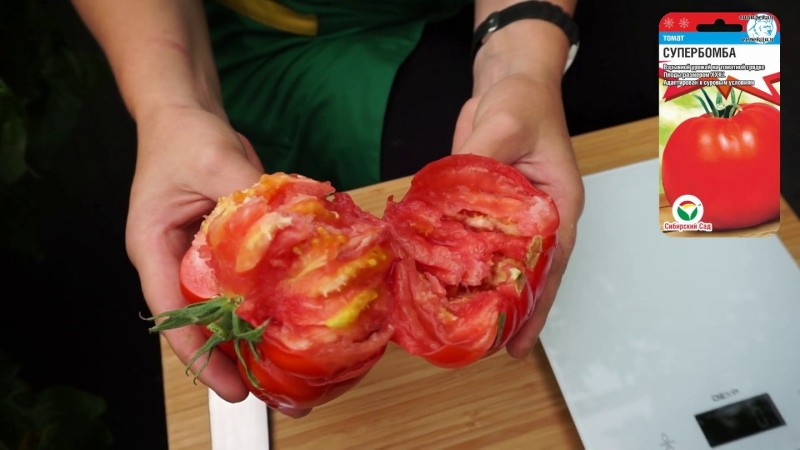 Superbombe de fruits de tomate