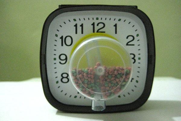 alimentador de reloj automático casero