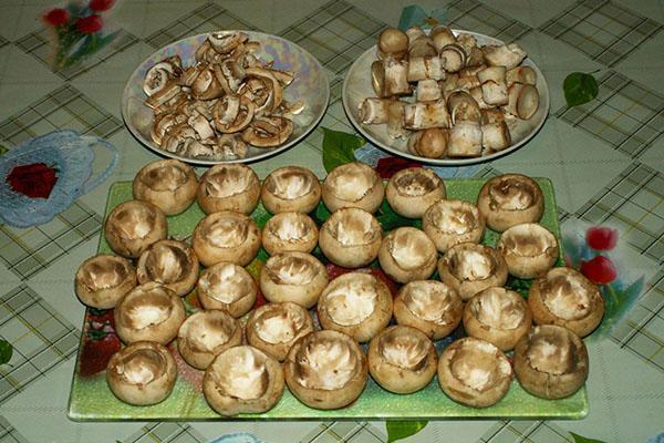 tapas de setas para relleno