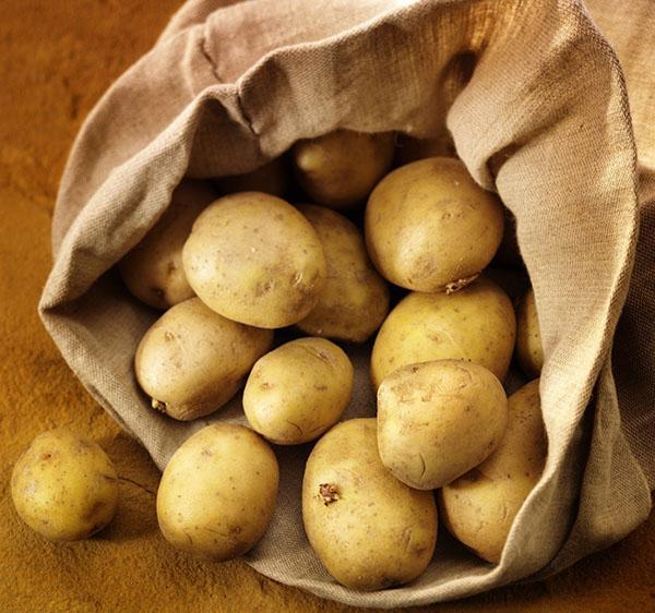 nous enlevons les pommes de terre pour le stockage