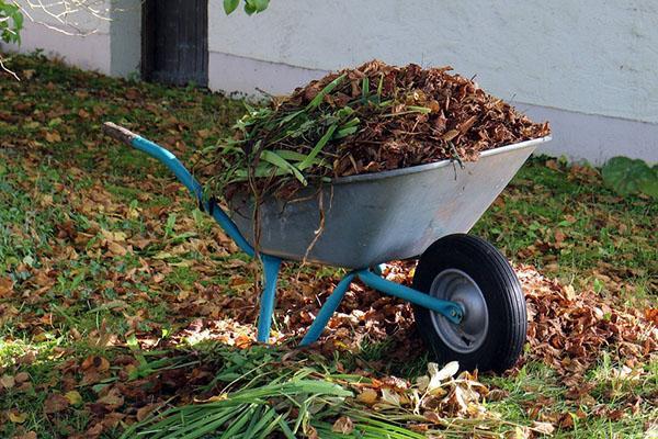 retiramos la basura de las camas y el sitio