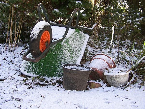 primera nieve de noviembre