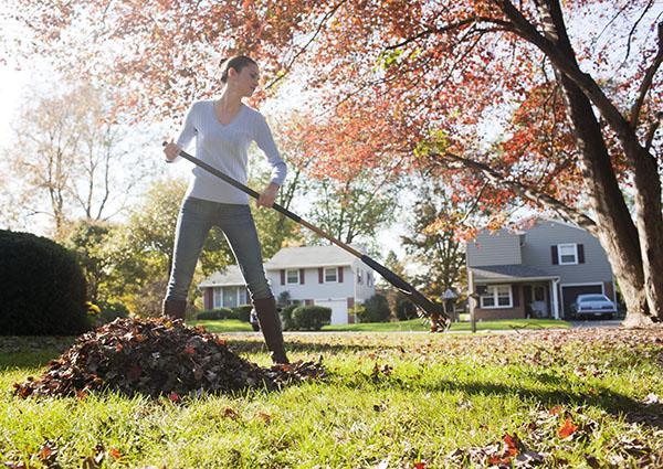 nettoyer le feuillage à la campagne