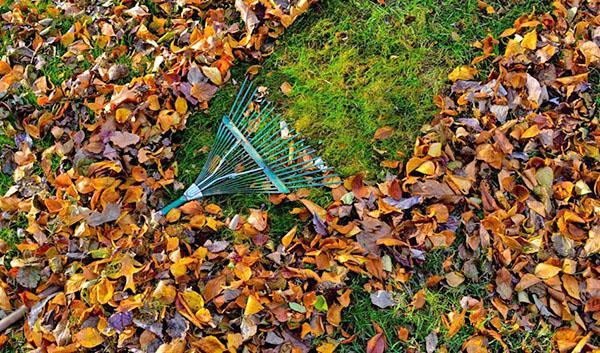 nettoyer les feuilles et les branches dans le jardin