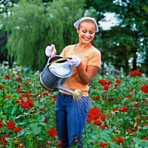 regar rosas
