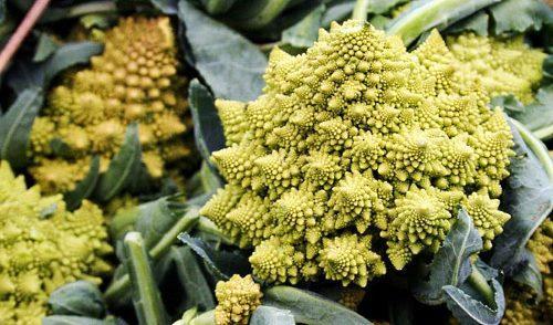 Romanesco sur la photo