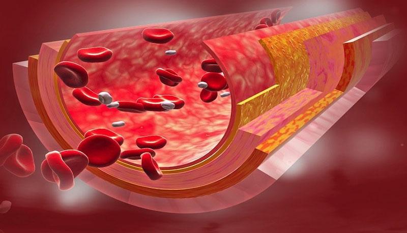 fortalecer las paredes de los vasos sanguíneos