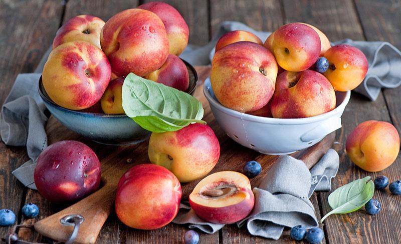 fruit sucré juteux de nectarine