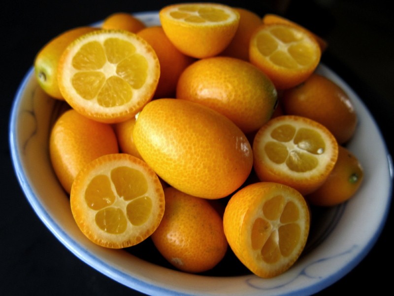 fruta de kumquat