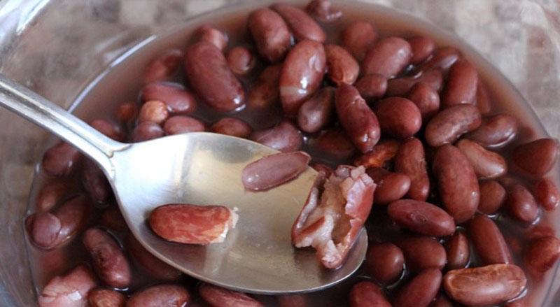 faire bouillir les haricots jusqu'à tendreté