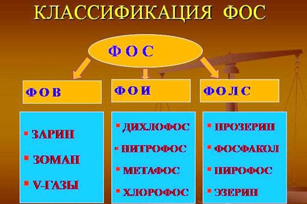 clasificación de fos