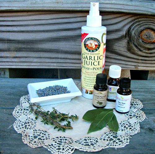 huiles essentielles anti-acarien