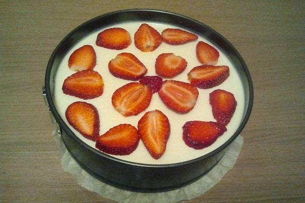forma de tarta de queso