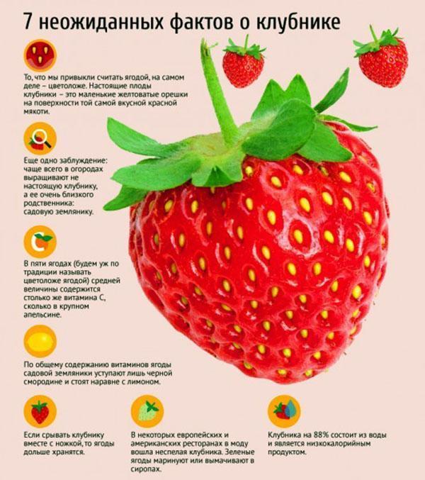 Datos interesantes sobre las fresas