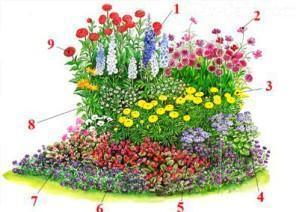 Esquema de un macizo de flores de plantas anuales.