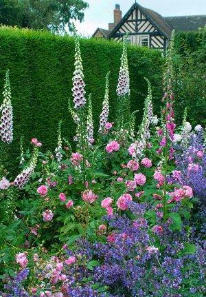 cama de flores