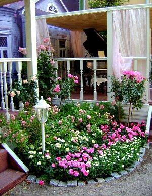 Descuento con rosas