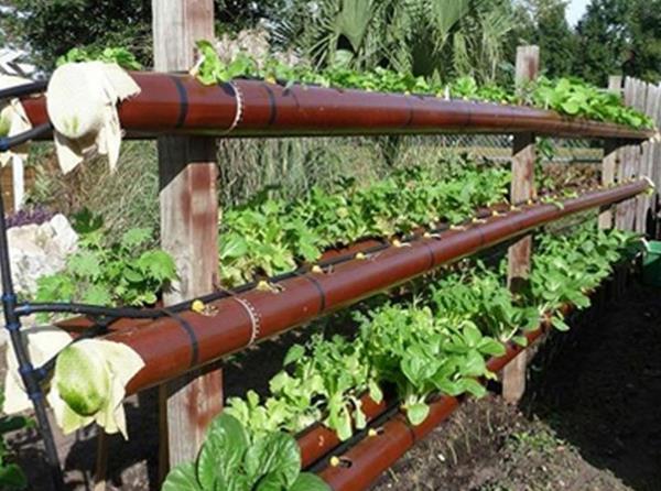 Camas de tubos de escalera