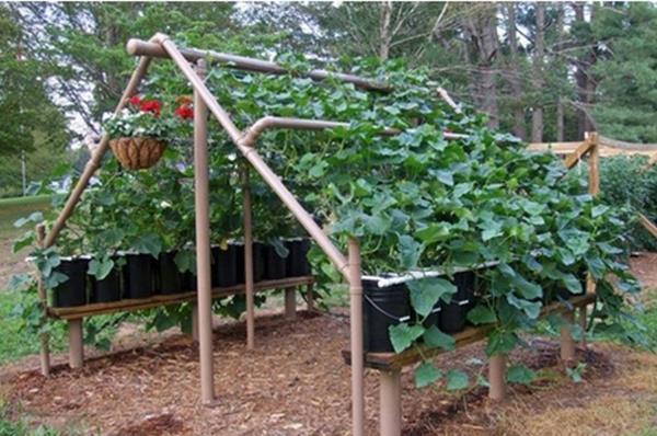 Gazebo de jardin