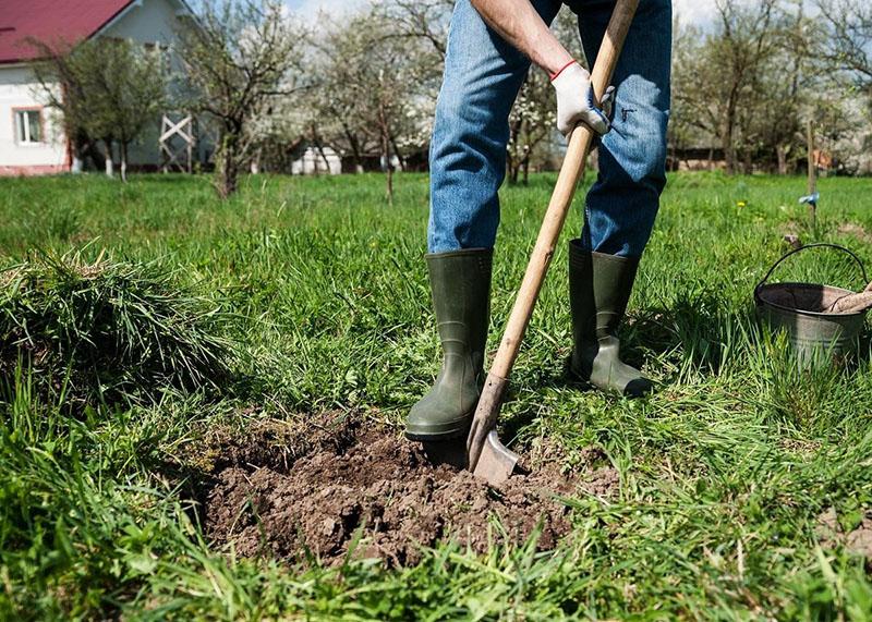 bon site pour planter un jardin