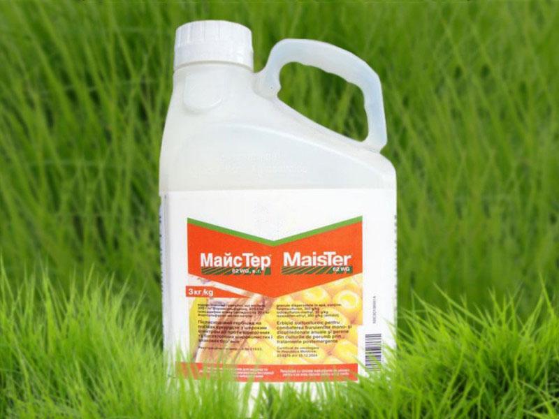 herbicide de maïs