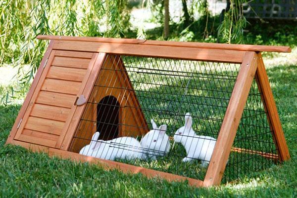 Cage portable avec enclos pour jeunes animaux