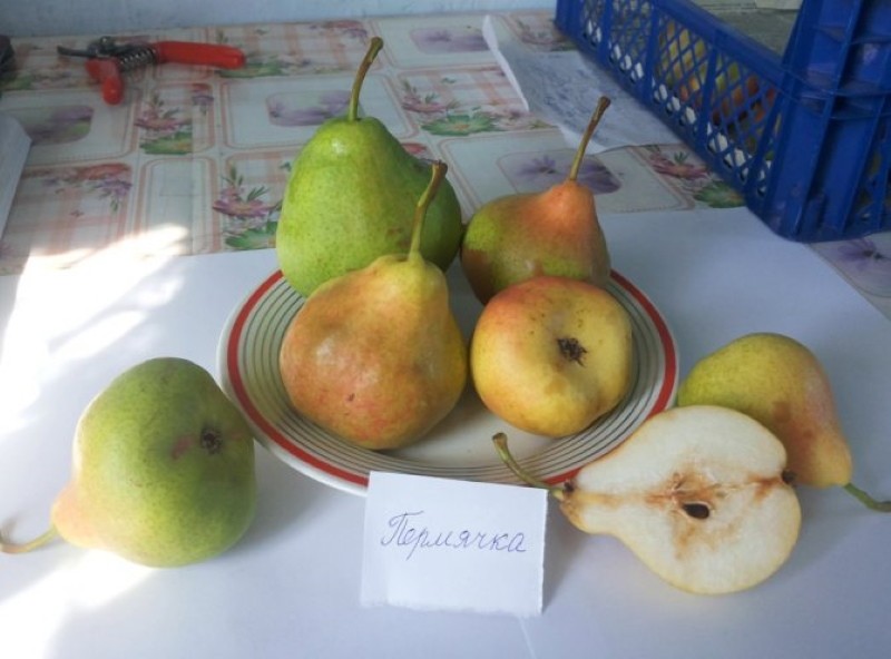 poire