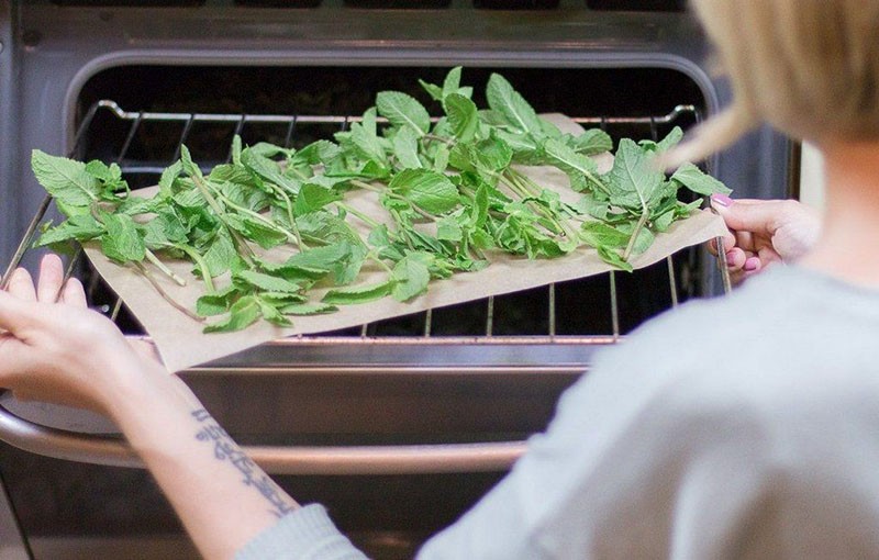 secar la menta en el horno