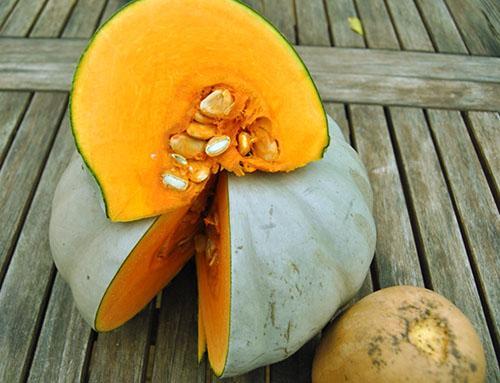 Ne mangez que de la citrouille mûre