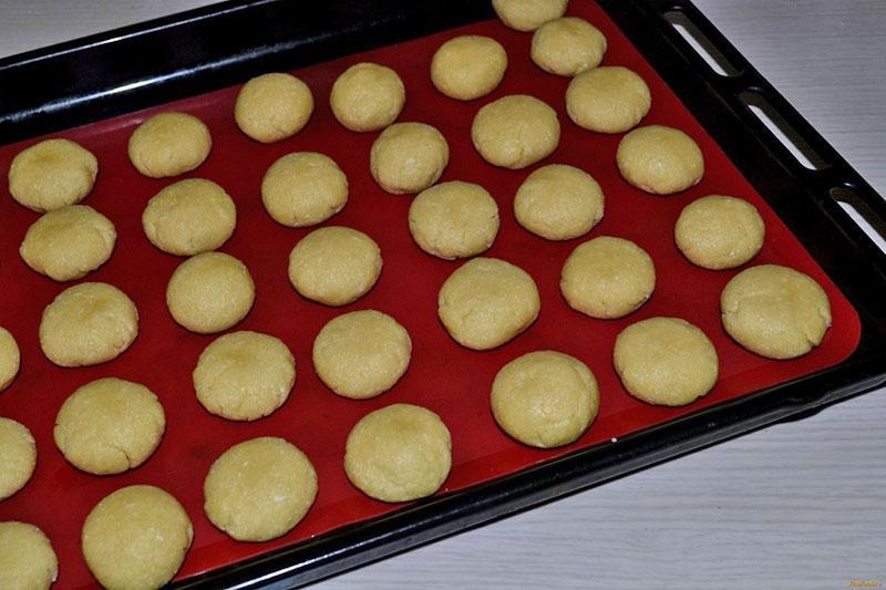 mettre la plaque à pâtisserie au four