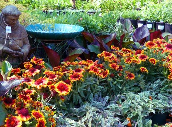 décoration de jardin gaillarde