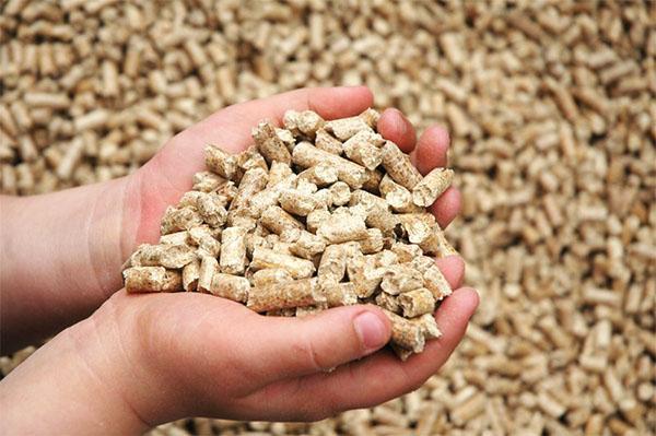 Aliments granulés pour lapins