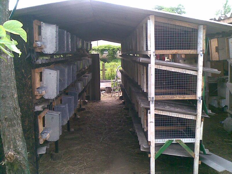 hangars à la ferme