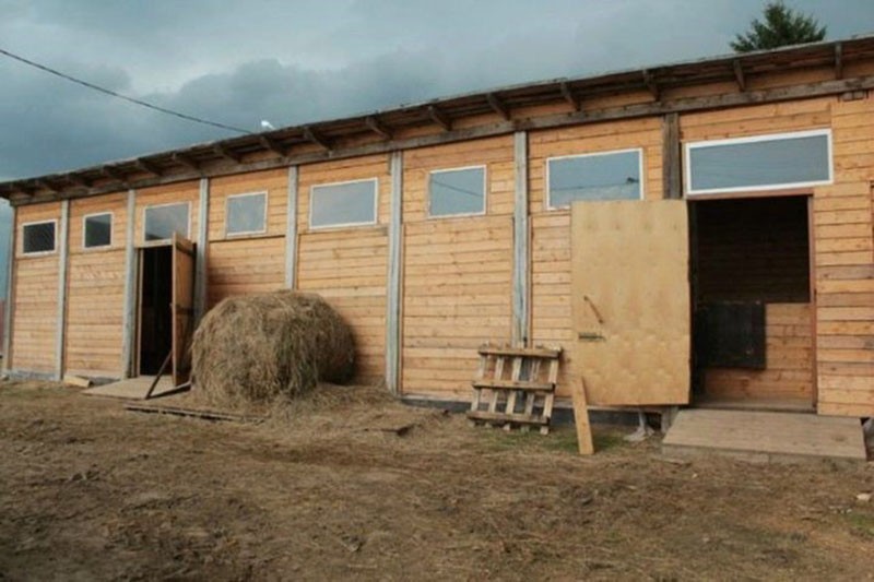 ventanas en el redil