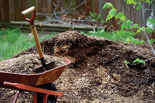 analizando el montón de compost