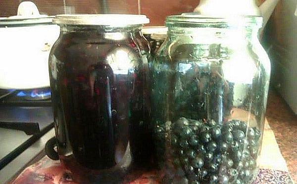 llenar frascos limpios con arándanos