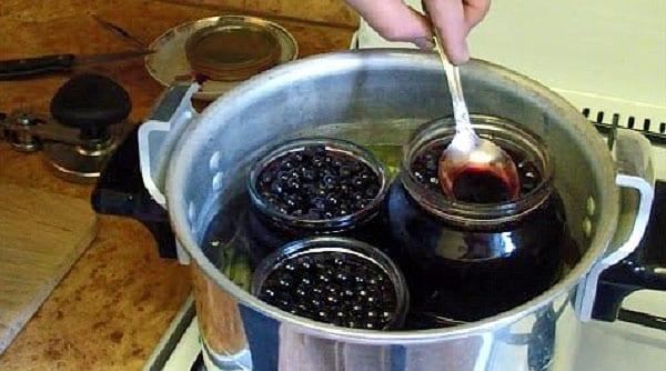 poner frascos en esterilización