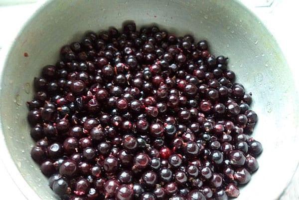preparar las bayas para la conservación