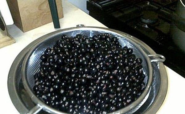 blanquear las bayas de grosella