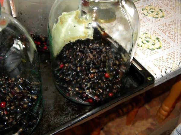 llenar los frascos con bayas un tercio