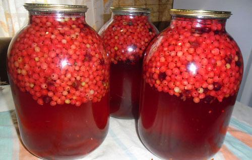 compote de sorbe rouge